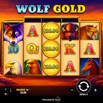 Spinania - Wolf Gold Slot Game - Pragmatic Play